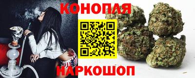 дживик Нальчик