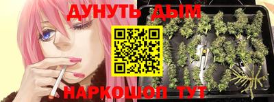 дживик Нальчик