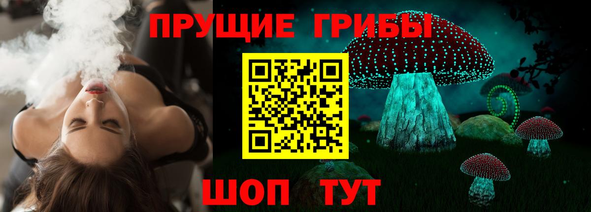 Псилоцибиновые грибы Psilocybine cubensis  Псилоцибиновые грибы Cubensis  Курск  Вход с VPN 